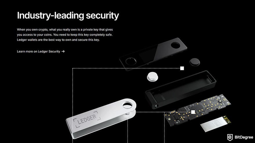 Cold wallet: Ledger Nano X.
