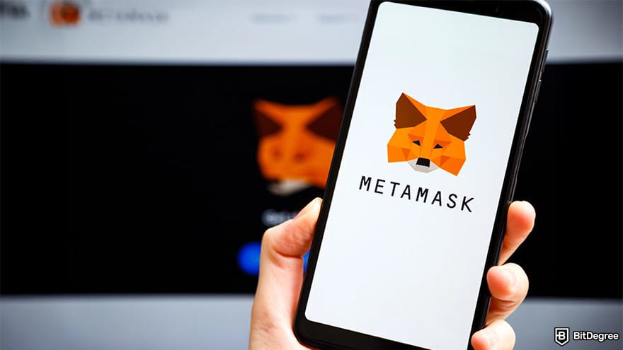 Cold wallet: MetaMask hot wallet.