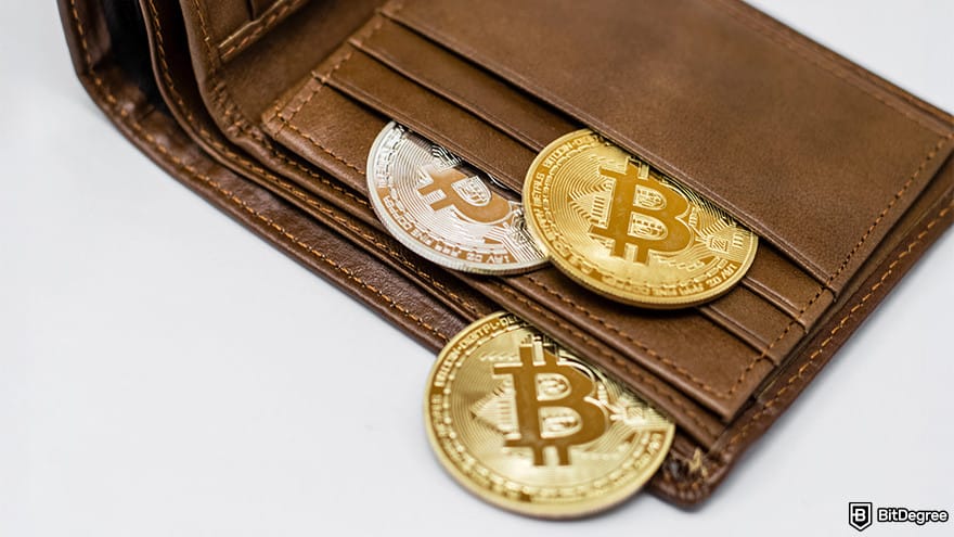 Cold wallet: Wallet and crypto coins.