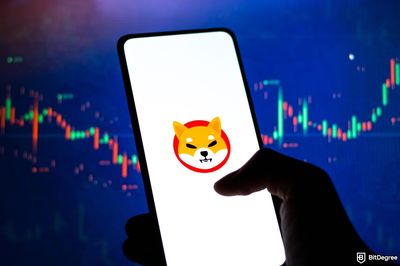 Could Shiba Inu Ride Bitcoin's $100K Wave to New Heights?