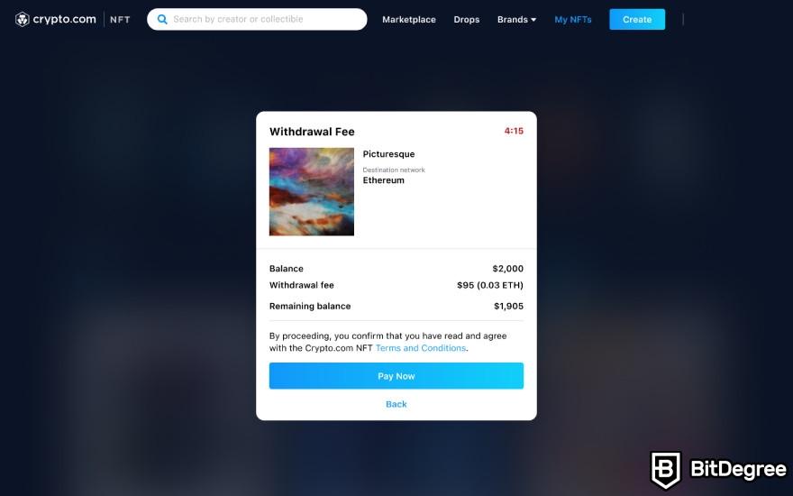 Crypto.com NFT review: payment details page.