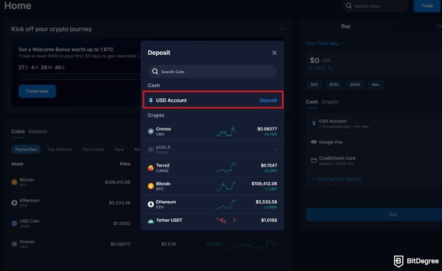 Crypto.com review: the deposit options on Cyrpto.com with the USD Account option highlighted.