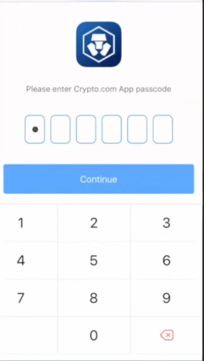 Crypto.com wallet review: enter your password.