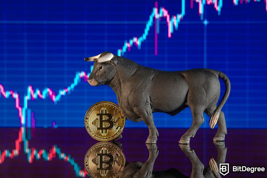 Crypto options trading: bull market.