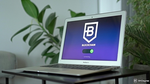 Crypto Payments and Trading: Latest BitDegree Mission Dives Into Cryptomus