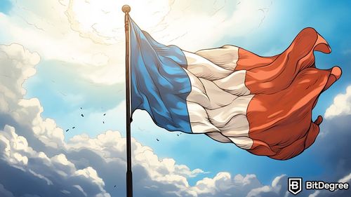 Crypto Ranks Second in France's Investment Choices, OECD Survey Reveals