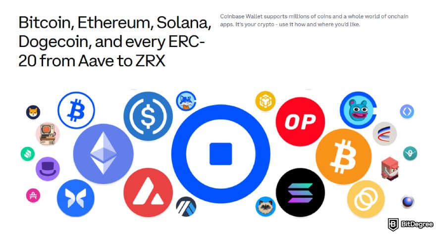 Crypto wallet for business: Coinbase Wallet's asset support.
