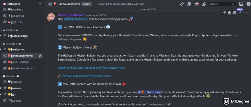 Cryptocurrency jobs: BitDegree Discord community.