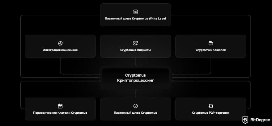 Cryptomus отзывы: криптопроцессинг Cryptomus.