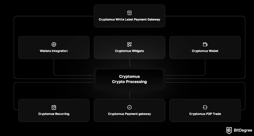 Cryptomus review: Cryptomus Crypto Processing.