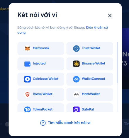 Đánh giá Biswap: các tùy chọn ví trên Biswap.