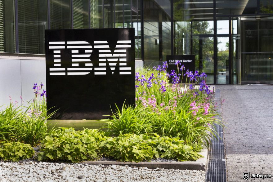 Data analyst courses: a large black IBM logo in a garden with flowers in front of the office.