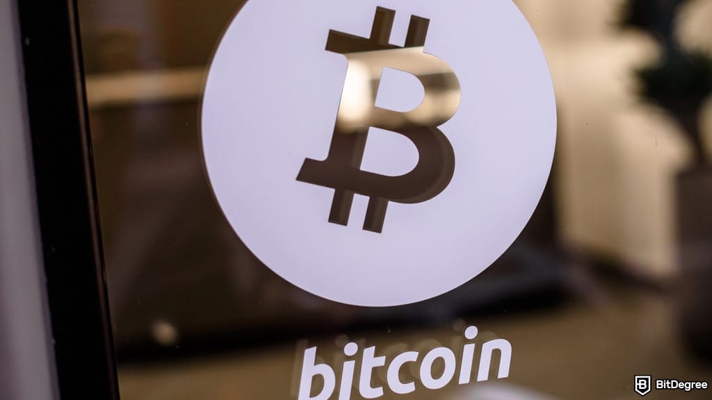 David Bailey Plans $762 Million Bitcoin Purchase Using VWAP Strategy