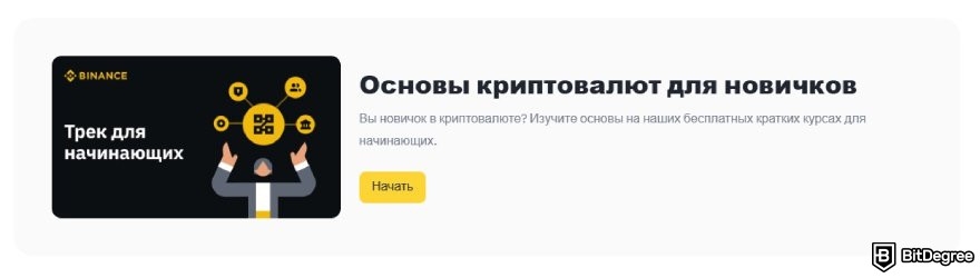 DeFi скам: крипто сленг (Binance Academy).