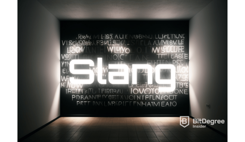 Defi Slang