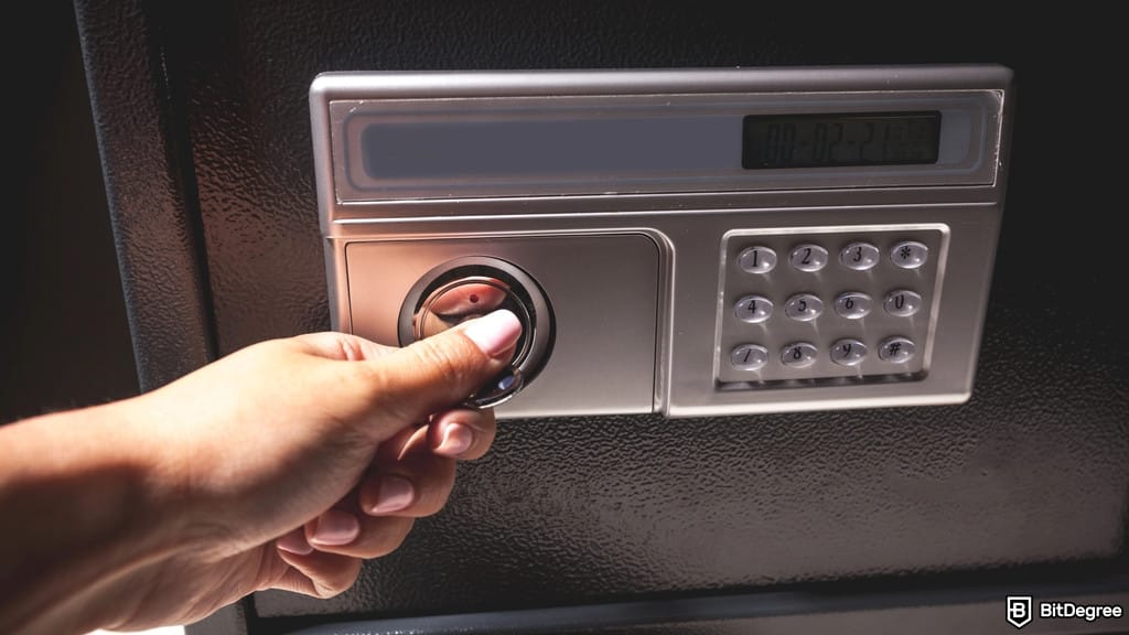 Didi Taihuttu Hides BTC Wallet Keys Across Four Continents