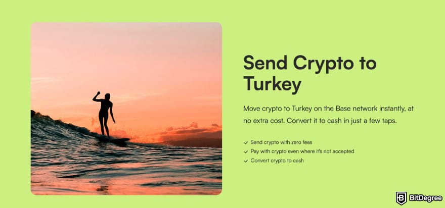 Does Wise work in Turkey: the main pros of sending money to Turkey with Ogvio.