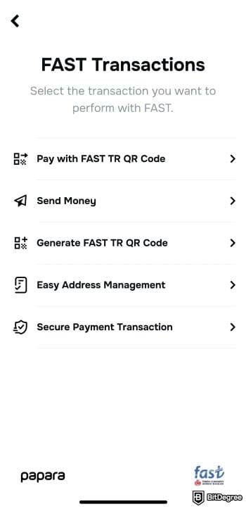 Does Wise work in Turkey: Papara FAST transfer options page.
