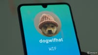 Dogwifhat’s Famous Knit Cap Fetches Nearly $800,000 in BTC Auction