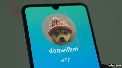 Dogwifhat’s Famous Knit Cap Fetches Nearly $800,000 in BTC Auction