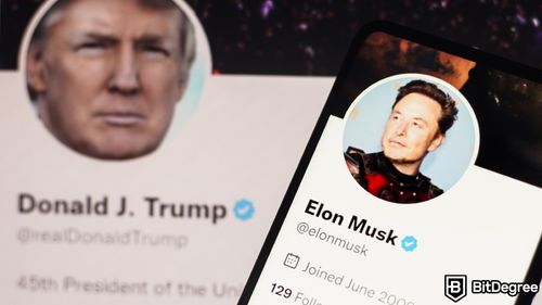 Donald Trump Hints at Cabinet Role for Elon Musk if Elected