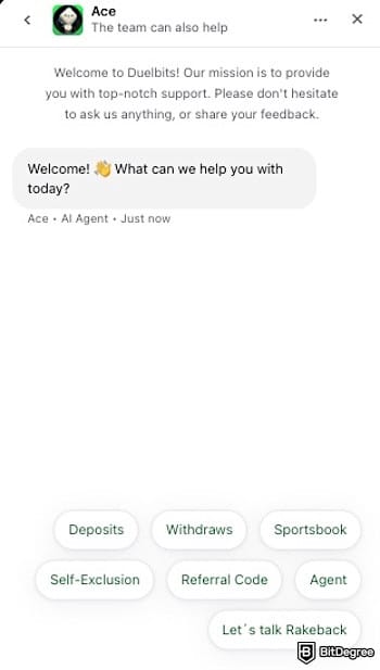 Duelabits review: Duelbits' live chatbox.
