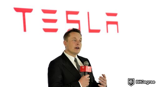 Elon Musk and Tesla Triumph in Dogecoin Manipulation Case