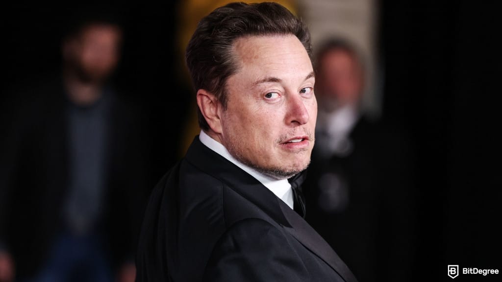 Elon Musk Says X Money Beta Is Close, Crypto Still Uncertain