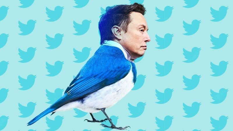 Elon Musk & Twitter