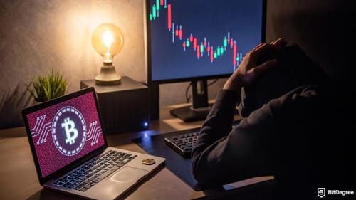 Extreme fear returned to crypto