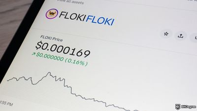 Floki DAO’s $2.8 Million Proposal to Bring a Floki ETP to European Investors