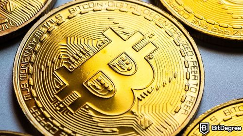Following Uncertainties in The Crypto Markets, Bitcoin Dipped Below $25,000