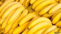 From Art to Absurdity: Justin Sun’s 100,000 Banana Plan Bites the Dust