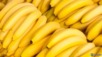 From Art to Absurdity: Justin Sun’s 100,000 Banana Plan Bites the Dust