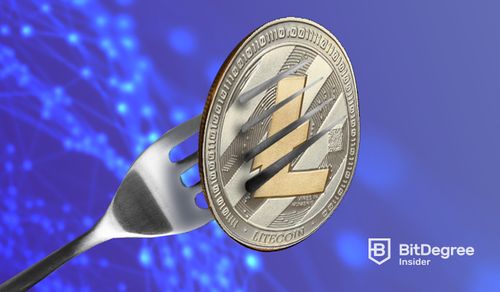 From Bitcoin to Litecoin: The NFT revolution continues