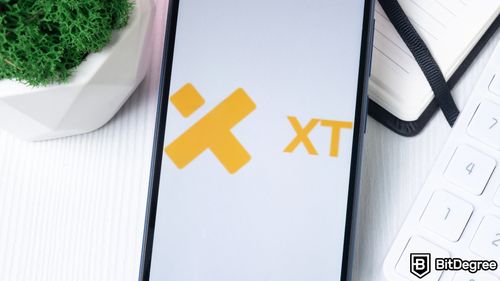 From Trading to Earning: What Makes XT.com Stand Out?