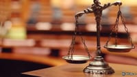 FTX Fallout: Michelle Bond Fights to Testify in Court Clash