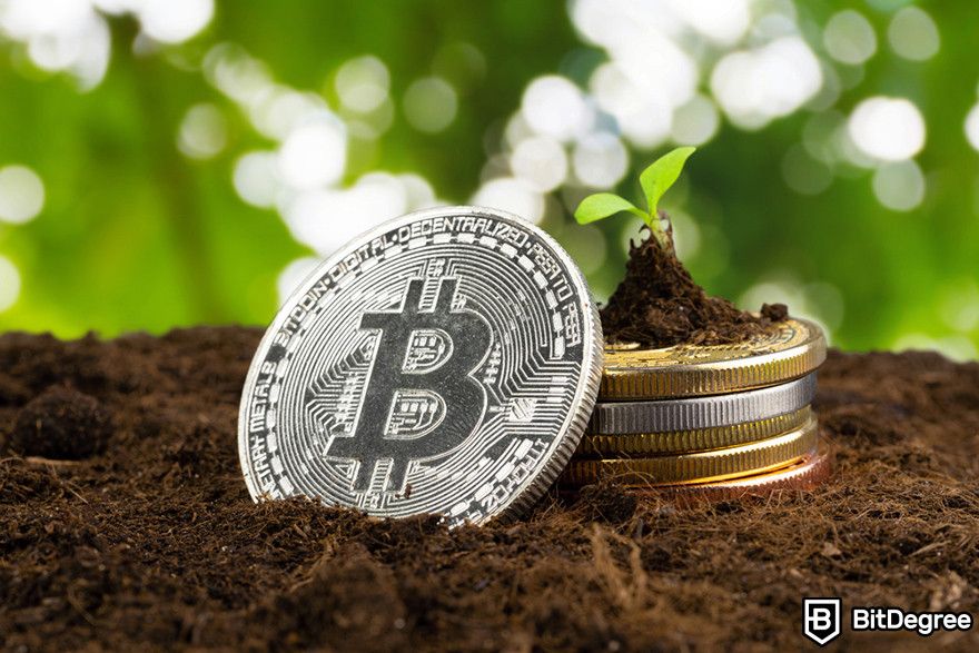 Futuro da blockchain: um token Bitcoin no solo com uma pequena planta.