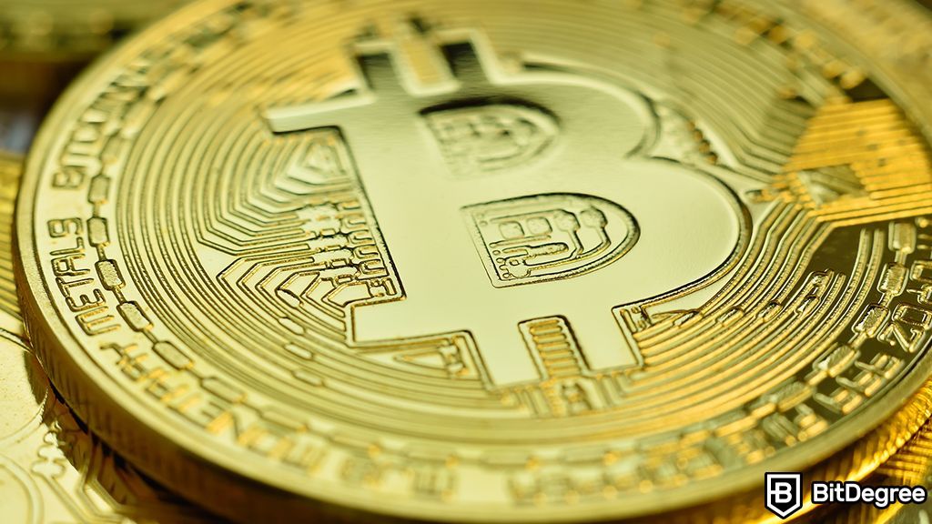 Rules Not To Follow About Bitcoin Blueprint