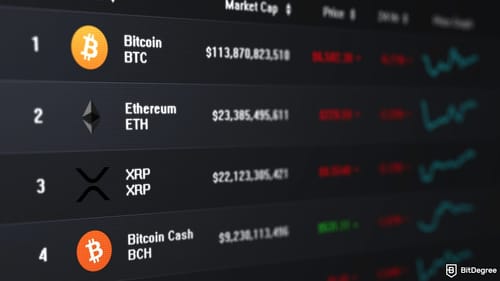 Glassnode Flags Warning as Nearly All Bitcoin Turns Profitable