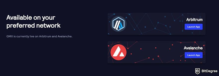 GMX review: a part of GMX homepage showing Arbitrum and Avalanche as the available networks.