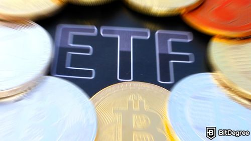 Grayscale's CEO Predicts a Dim Future for Majority of Bitcoin Spot ETFs