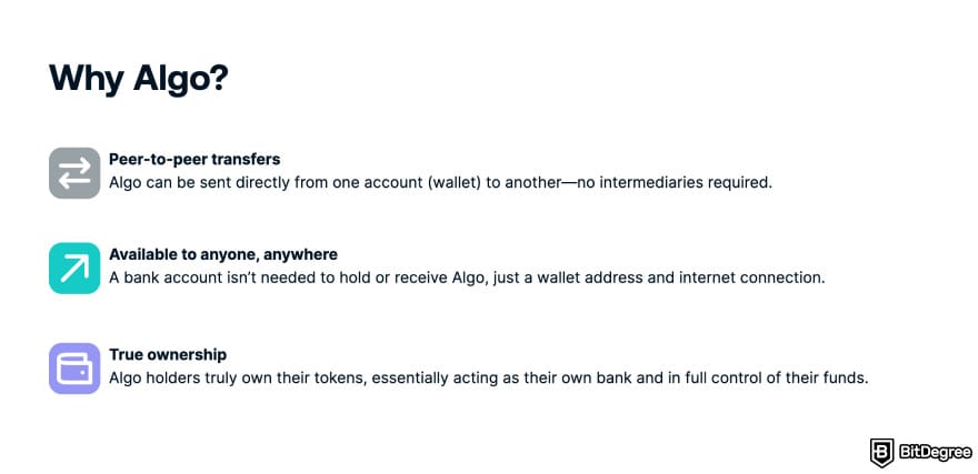 Halal crypto list: Algorand homepage showing Why Algo section.