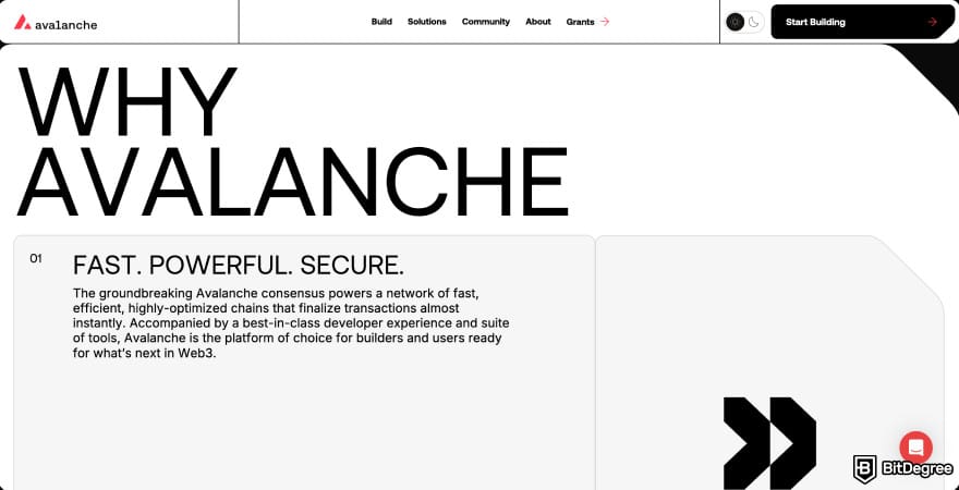 Halal crypto list: Avalanche homepage showing the Why Avalanche section.