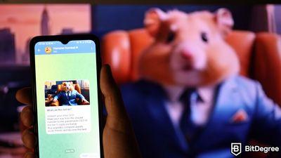 Hamster Kombat Prepares for Largest Crypto Airdrop Ever: Latest Updates