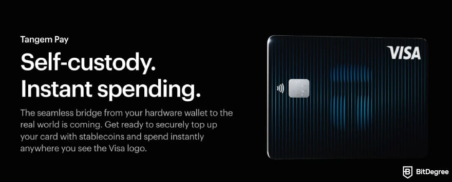 Tangem Pay visualization.