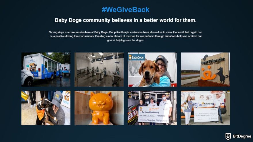 How to buy Baby Doge: a collection of pictures showcasing Baby Doge communities providing care for dogs.