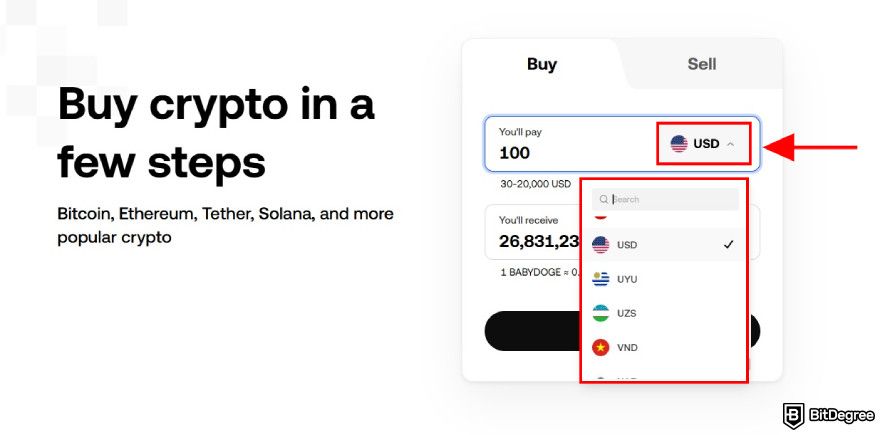 How to buy Baby Doge: choose your fiat currency.