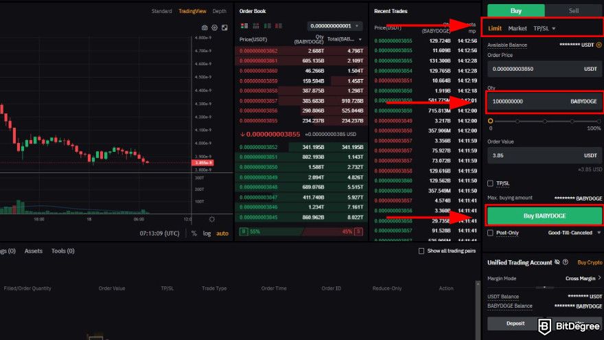 How to buy Baby Doge: choose order limit and enter the amount of BABYDOGE to buy.