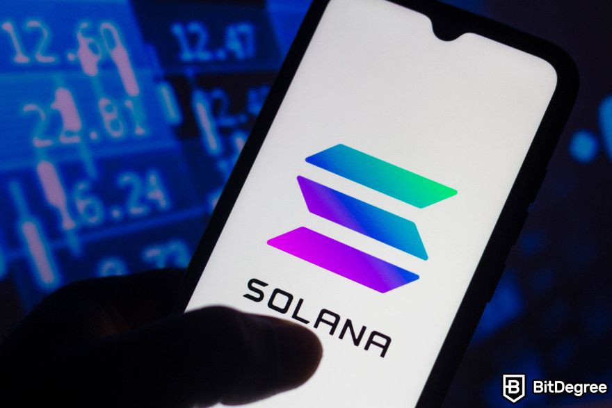 How to buy Bonk: the Solana logo on the mobile screen.